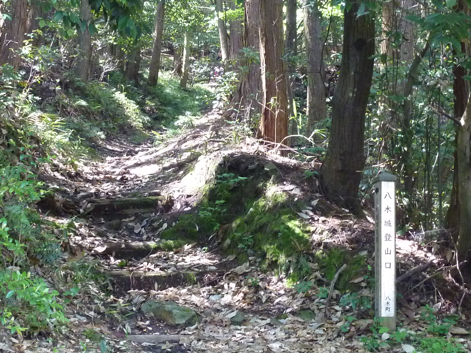 登山口