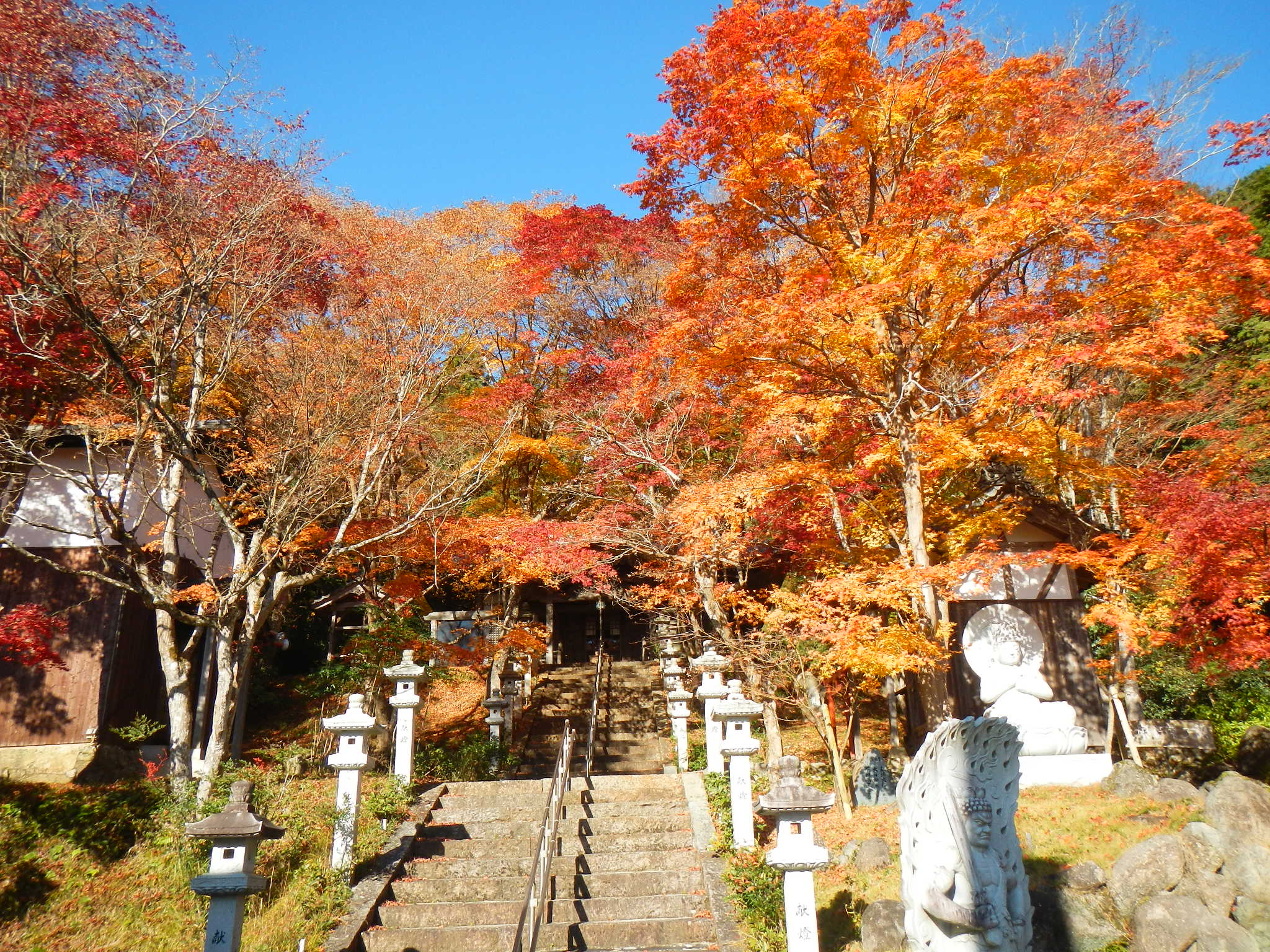 西光寺