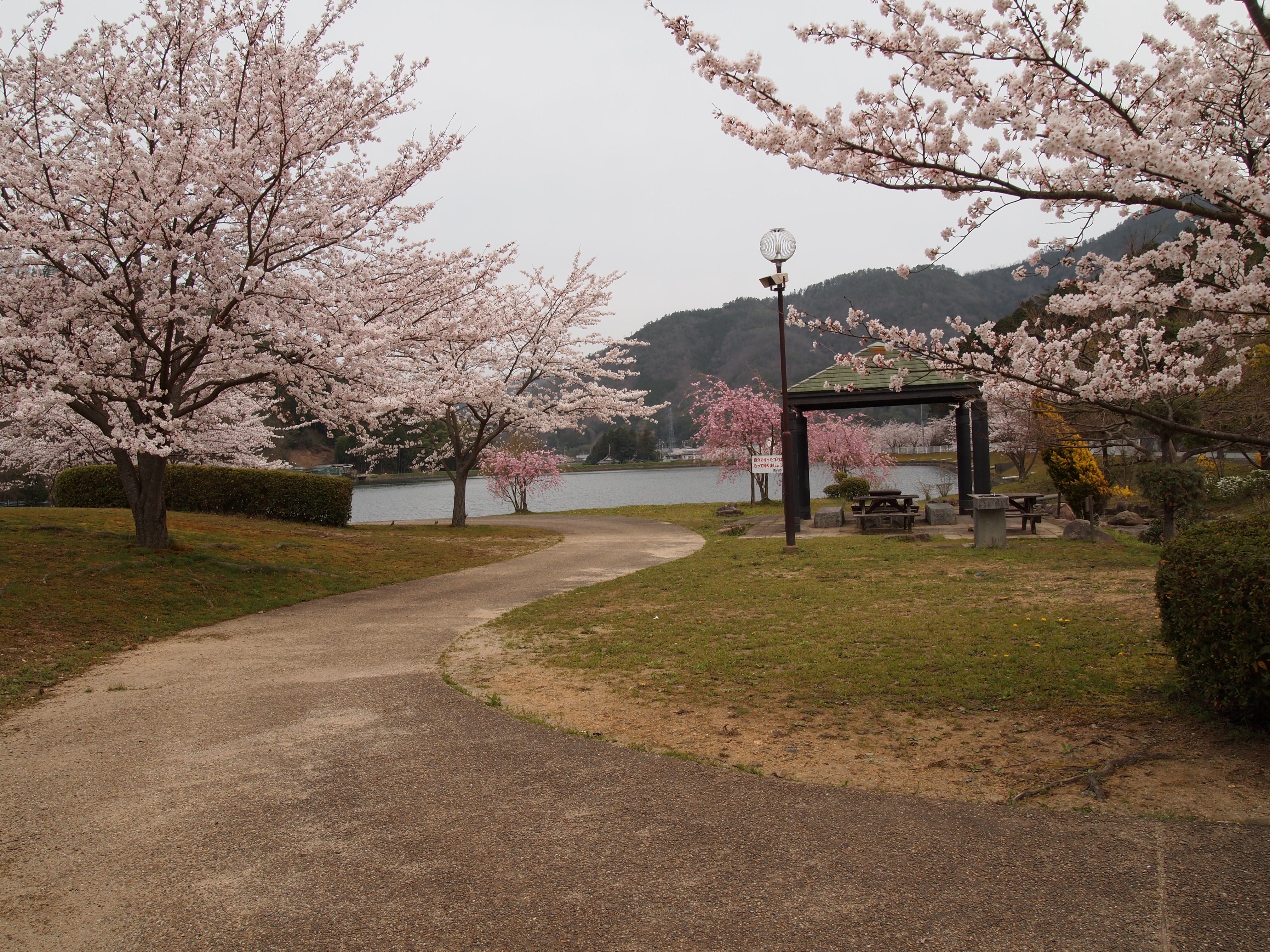 文覚ふれあい公園