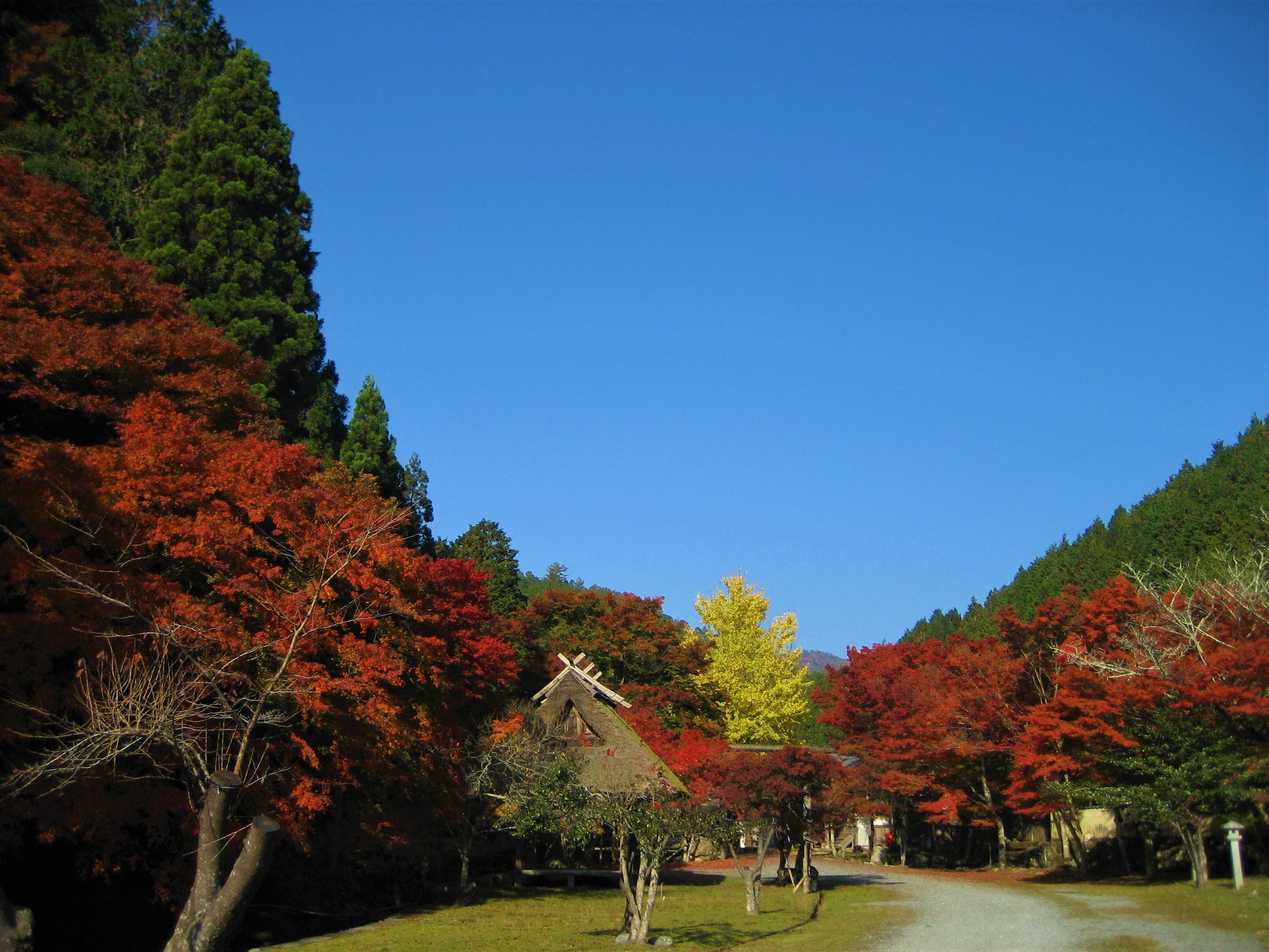 多治神社