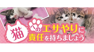 ▲啓発動画「ペットの命を守ろう編」