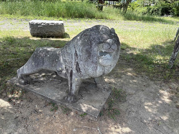 ④ライオン