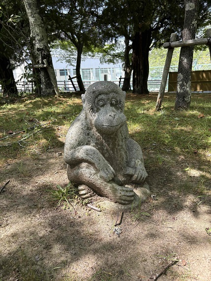 ⑤サル