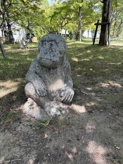 ⑥サル