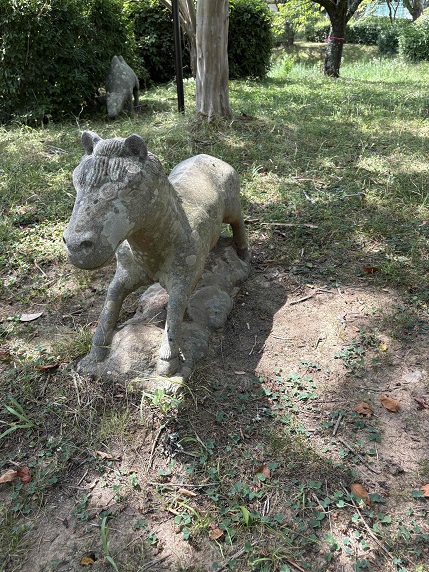⑦ウマ