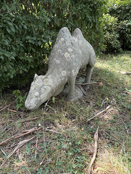 ⑧ラクダ