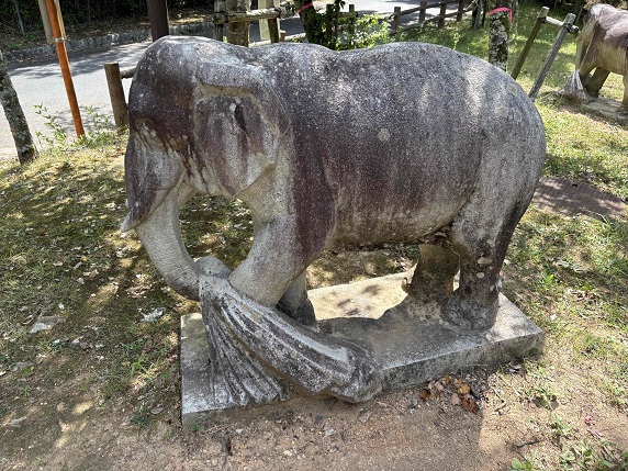 ⑩ゾウ