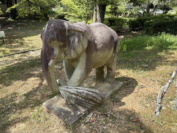 ⑫ゾウ