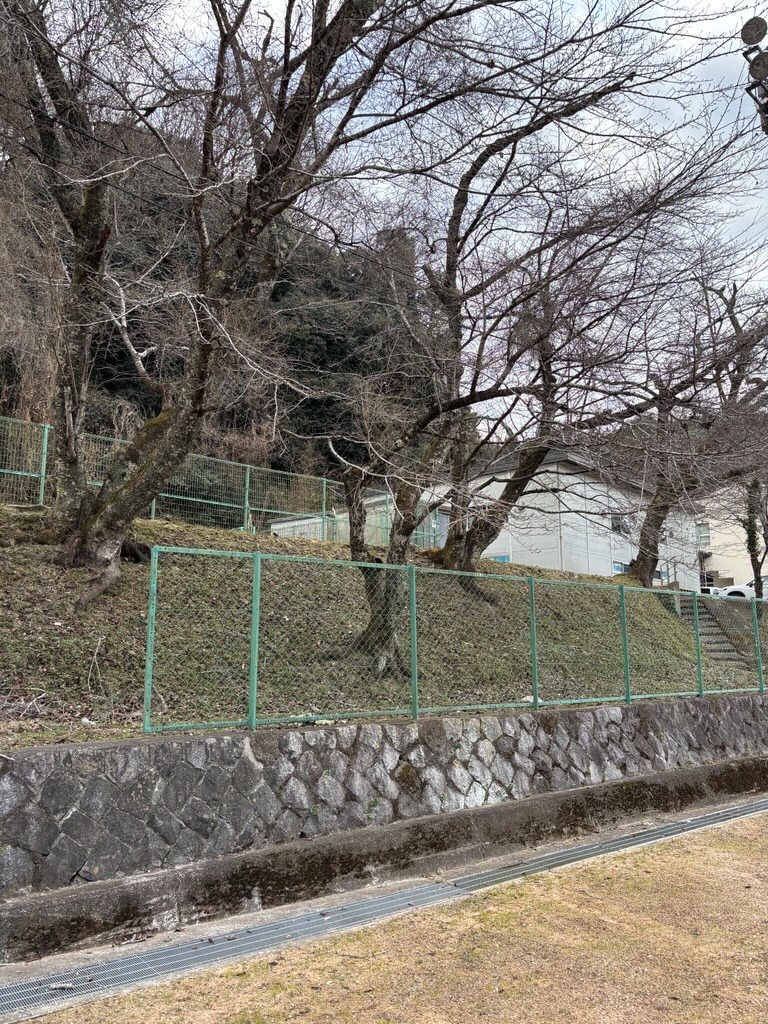 南丹市立殿田小学校 2