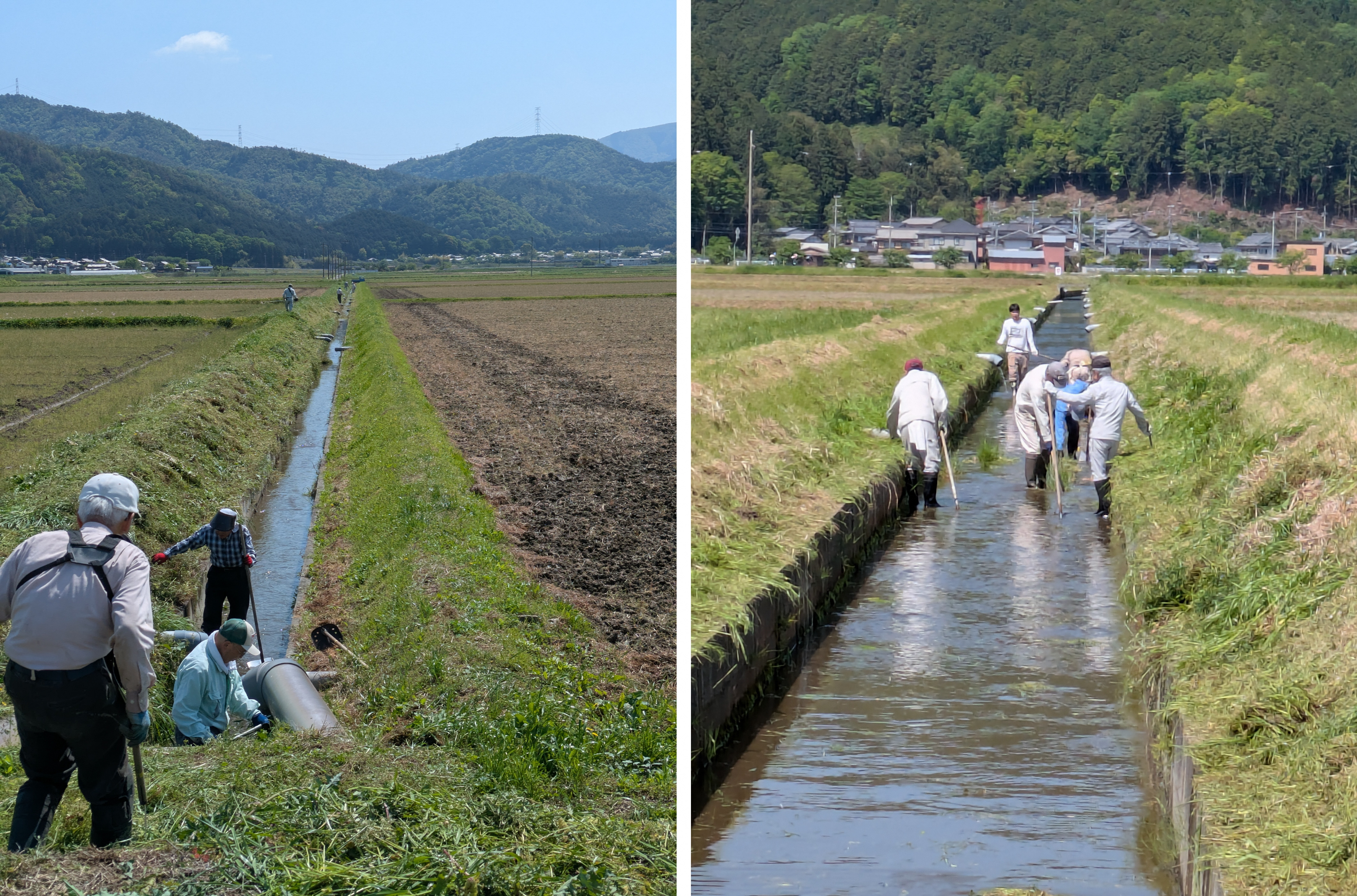 野条区自治会